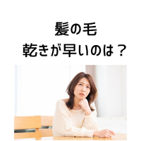 画像285