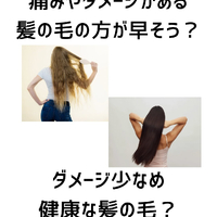 画像286