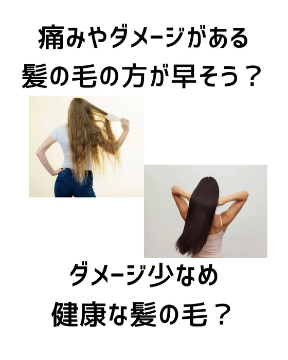 画像286