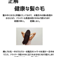 画像288