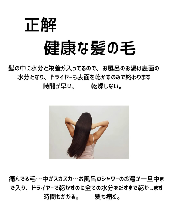 画像288