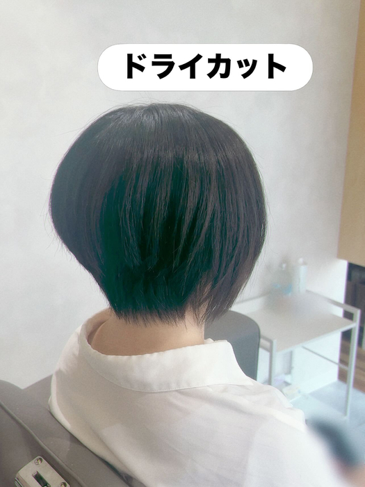 画像443