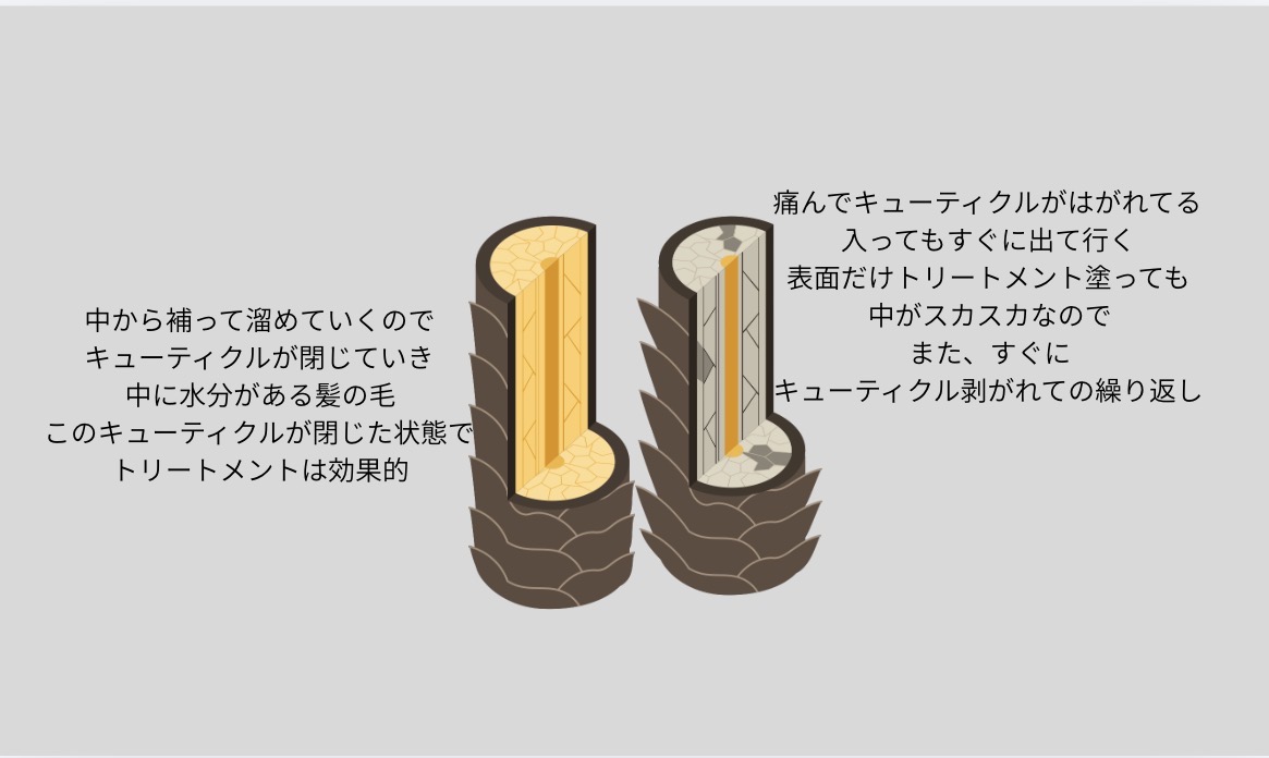 浸透力が違う天然水を細胞へ